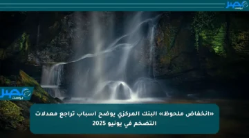 «انخفاض ملحوظ» البنك المركزي يوضح أسباب تراجع معدلات التضخم في يونيو 2025